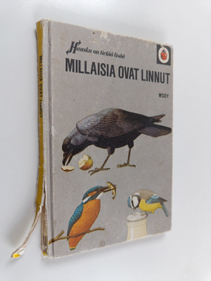 F. E. Newing : Millaisia ovat linnut