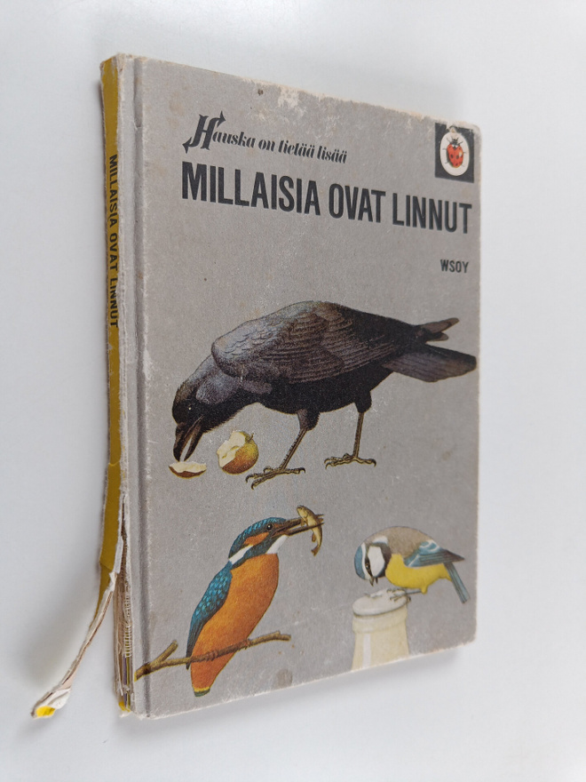 F. E. Newing : Millaisia ovat linnut
