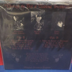 Muvitium – Through The Veil Of Medieval Prophecies M-/M- LP - pikkukuva 2