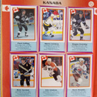 Jääkiekko keräilysarja 1993 täysi albumi 288 tarraa - pikkukuva 5