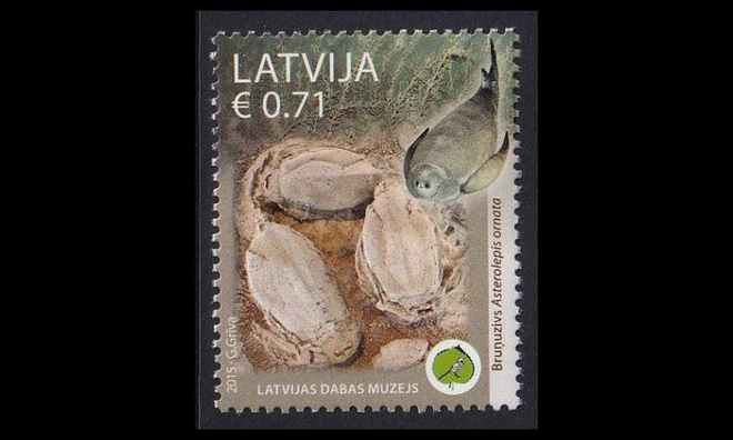 Latvia 939 ** Luonnonhistoriallinen museo (2015)