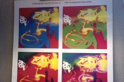 THE TEARDROP EXPLODES : EVERYBODY WANTS TO SHAG : VINYYLI LP