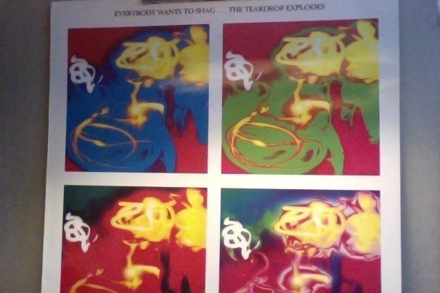 THE TEARDROP EXPLODES : EVERYBODY WANTS TO SHAG : VINYYLI LP
