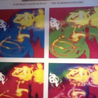 THE TEARDROP EXPLODES : EVERYBODY WANTS TO SHAG : VINYYLI LP - pikkukuva 1