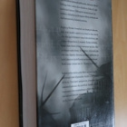 David ja Leigh Eddings : Reginan laulu ( 1.p. 2003 k.po ) - pikkukuva 2