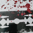 Suicide Blitz : Ride The Steel lp - pikkukuva 1