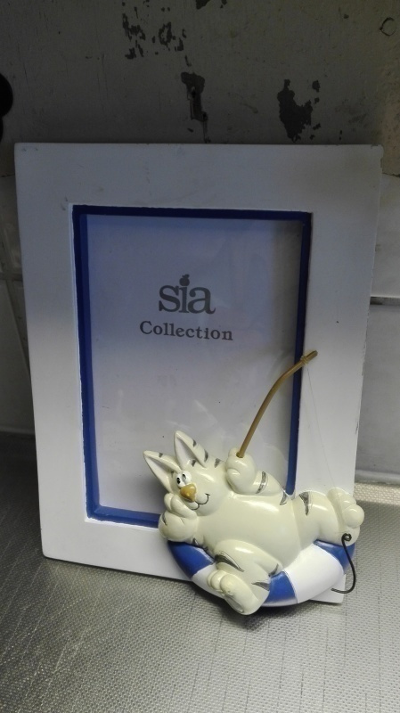 SULOINEN KISSA ONKII - VALOKUVAKEHYS, SIA COLLECTION