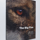 Magnus Elander : The big five - pikkukuva 1