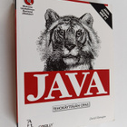 David Flanagan : Java - pikkukuva 1