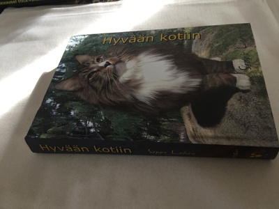 SEPPO LEHTO HYVÄÄN KOTIIN HYVÄ