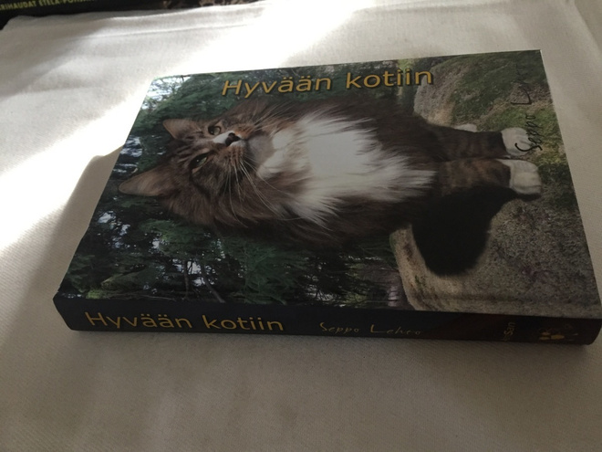 SEPPO LEHTO HYVÄÄN KOTIIN HYVÄ