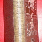 Kansanvalistuseuran Kalenteri 1911   (MK21) - pikkukuva 2