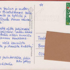 Virpi Pekkala Tontulla lahja ja kuusi - pikkukuva 2