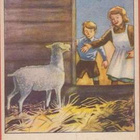 Tuure Saloranta Äiti , lapsi ja lammas - pikkukuva 1