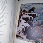 Kalevala - karjalais-suomalainen kansaneepos - kuv. Stronk - pikkukuva 3