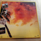 lp Eddy Grant - pikkukuva 2