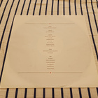 Richard Sanderson – Anytime At All lp 1990 Synth-pop upea - pikkukuva 4