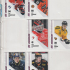 Rookie Purple /200 kortteja Blueline 2025-26 S2 - pikkukuva 1