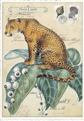 Leopardi, vihreät lehdet (Tausendschön-kortti)