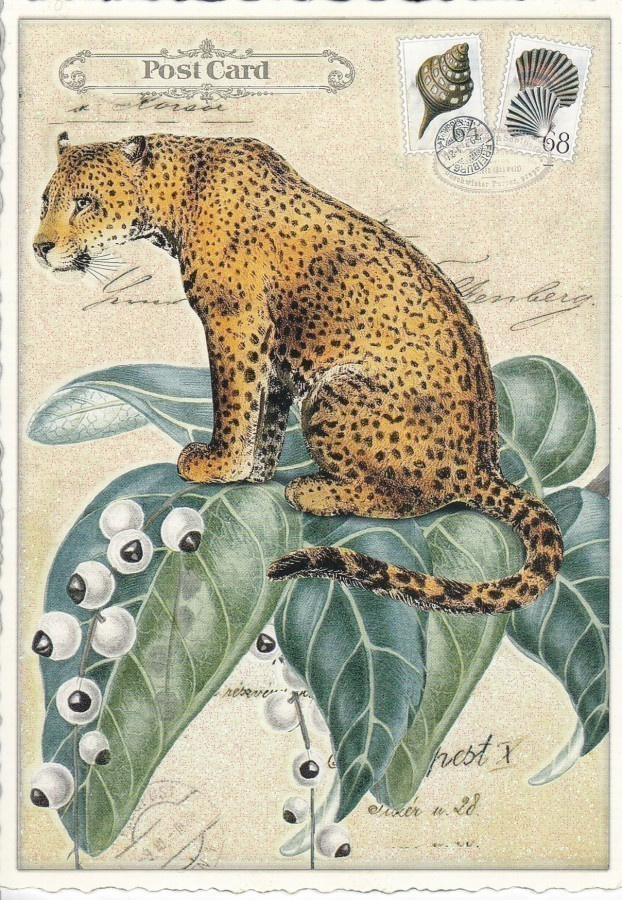 Leopardi, vihreät lehdet (Tausendschön-kortti)