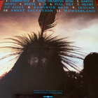THE CULT: Ceremony. * EUR 1991 - pikkukuva 2
