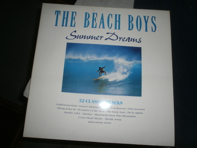 The beach boys
