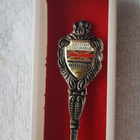 Souvenir Spoon British Columbia - pikkukuva 1