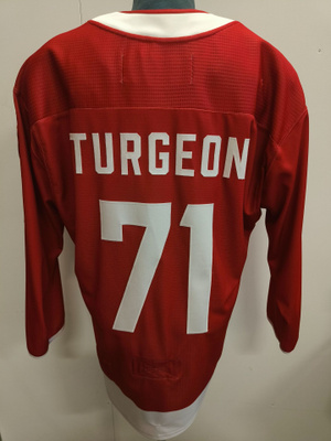 Dominic Turgeon #71 Porin Ässät Game worn