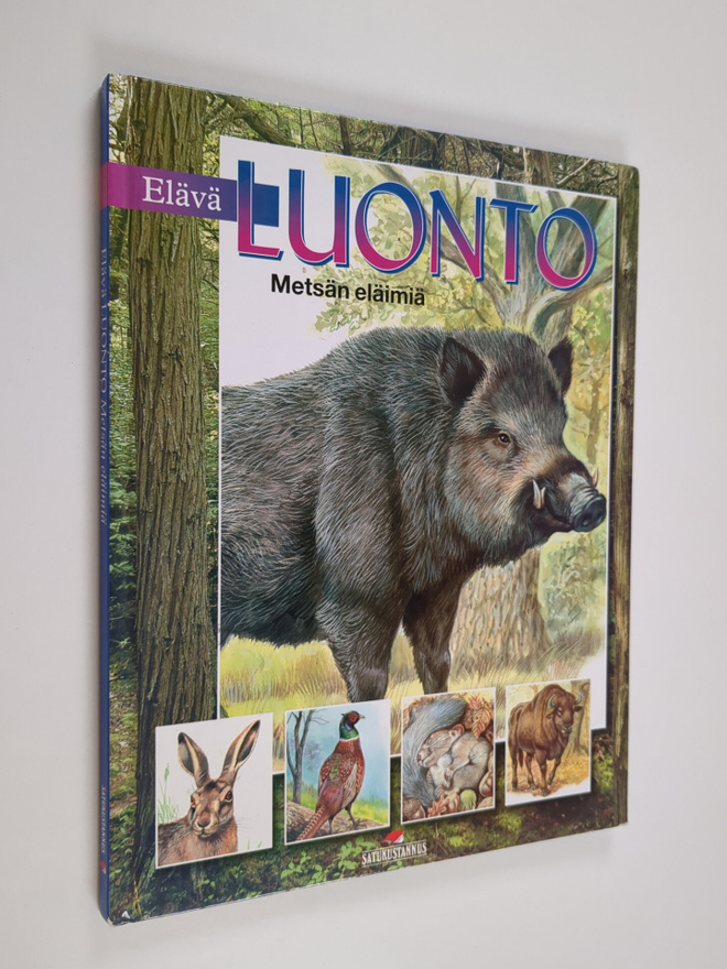 Arturo Arzuffi : Elävä luonto : Metsän eläimiä