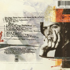 Bryan Adams : 18 Til I Die - CD - pikkukuva 3