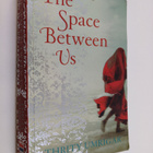 Thrity N. Umrigar : The Space Between Us - pikkukuva 1