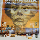 Ultra Bra juliste ja cd - pikkukuva 1