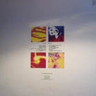 THE TEARDROP EXPLODES : EVERYBODY WANTS TO SHAG : VINYYLI LP - pikkukuva 2
