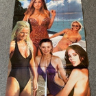Beach Calender 2001 juliste - pikkukuva 1