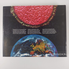 Heaven & earth : [unseen by the naked eye] - pikkukuva 2