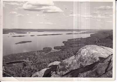Koli. N:o 1466. e315