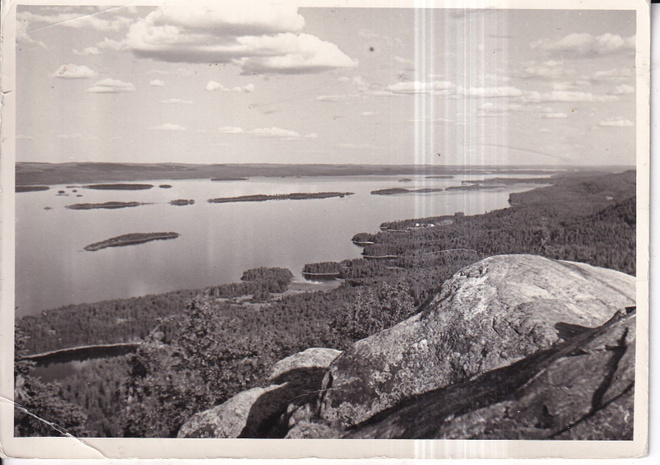 Koli. N:o 1466. e315