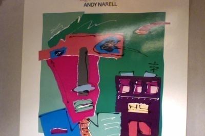 ANDY NARELL  ::  LIGHT IN YOUR EYES  ::  VINYYLI  LP    1983