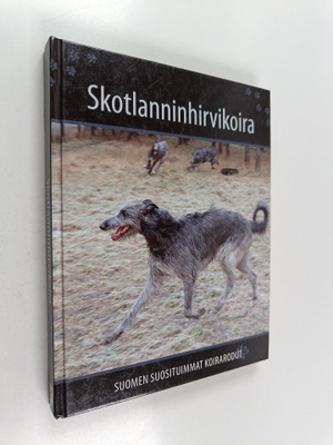 Skotlanninhirvikoira