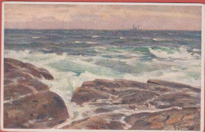 Toppelius Aaltoja rantakivikossa