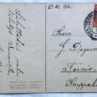 Karhunpatsas Aulangossa Hämeenlinna 1930 - pikkukuva 2