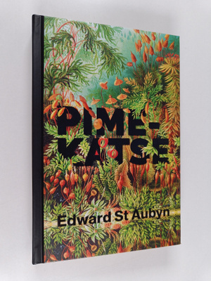 Edward St Aubyn : Pimekatse