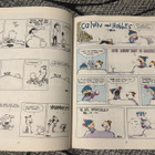 THE ESSENTIAL CALVIN AND HOBBES / A CALVIN AND HOBBES TREASU - pikkukuva 5