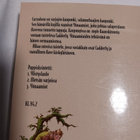 R.A.Salvatore : Yönaamiot - pikkukuva 2
