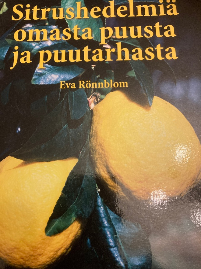 SITRUSHEDELMIÄ OMASTA PUUSTA JA PUUTARHASTA