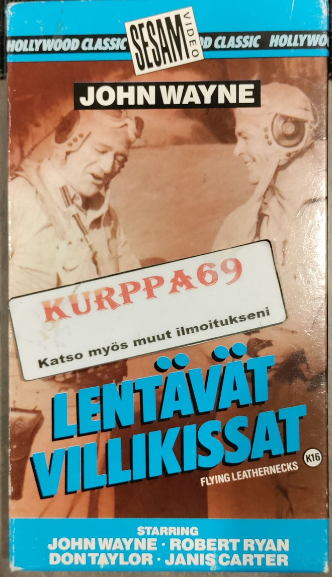 Lentävät Villikissat