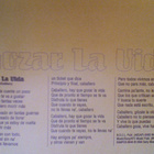 JULIO IGLESIAS :: GOZAR LA VIDA :: PROMO DJ  CD SINGLE  2000 - pikkukuva 3
