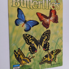 Butterflies - pikkukuva 1