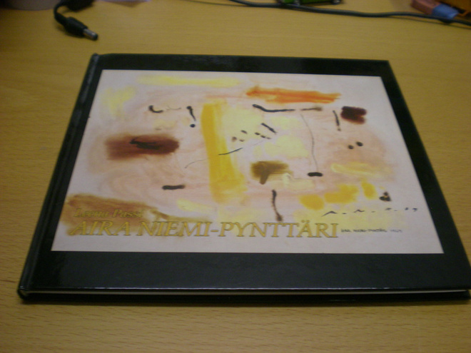 Leena Passi: Aira Niemi-Pynttäri