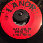 LITTLE VICTOR,LANOR 511 - pikkukuva 2